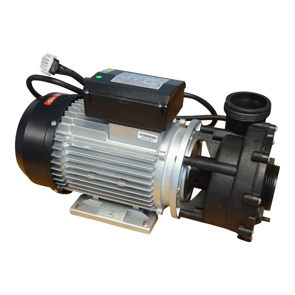 3 PS Massagepumpe 2 Speed 2200W/450W Whirlpool Pumpe WP300-II 2.6" x 2"