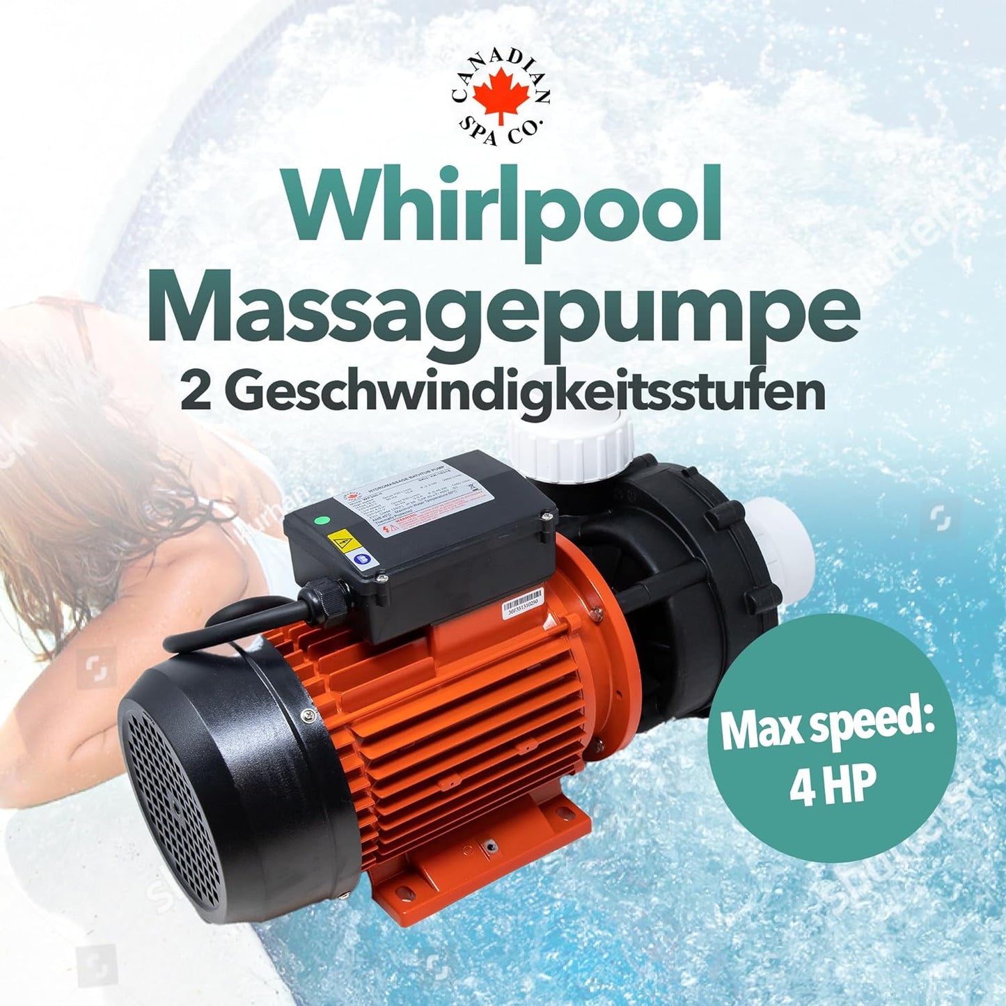 4 PS Massagepumpe 2 Speed 2200W/450W Whirlpool Pumpe WP300-II 2.6" x 2"